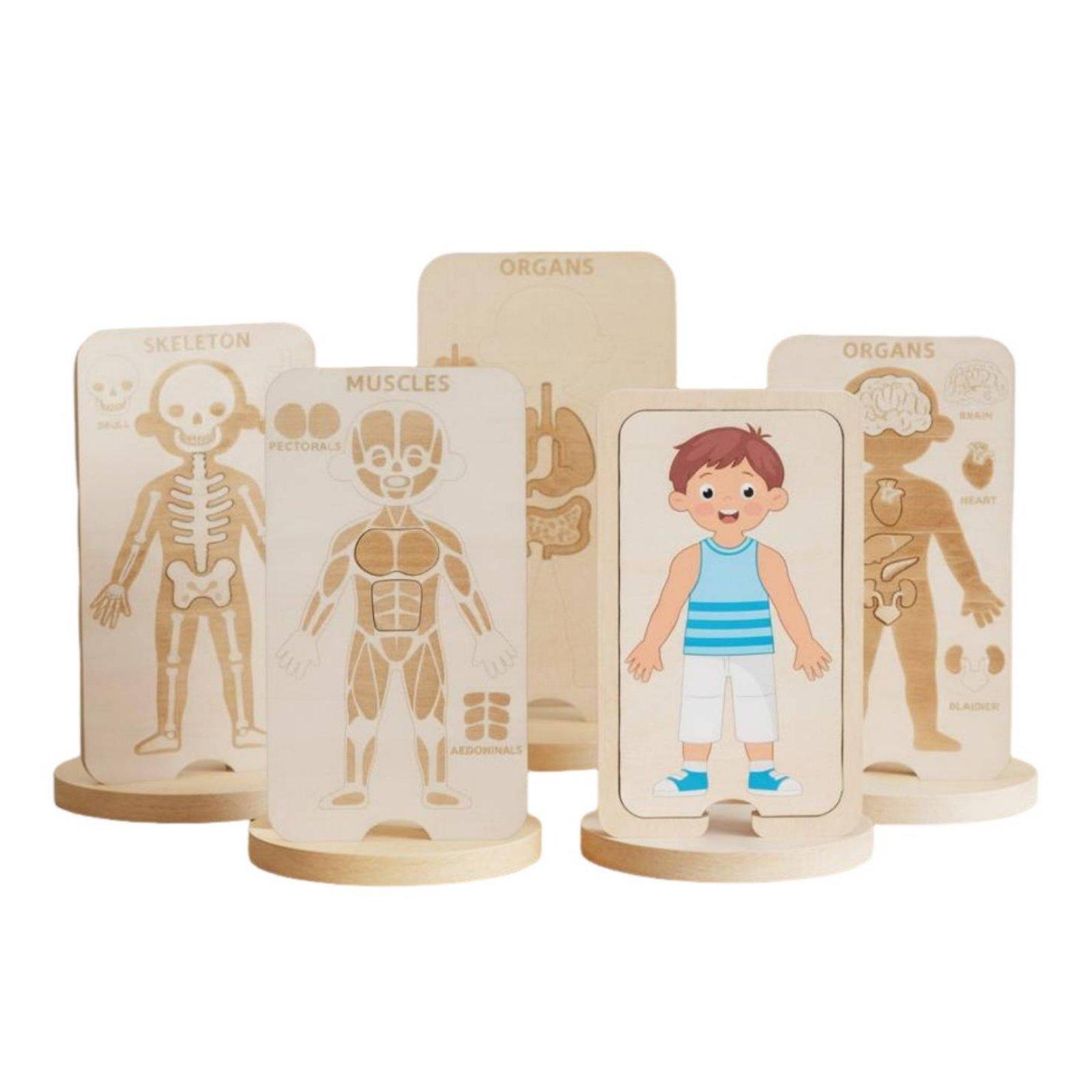 Human Body Puzzle - Kids Educational Wooden Puzzle Human Body