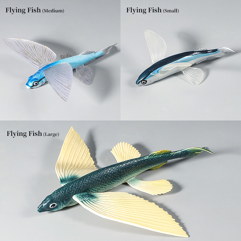Kids First Education - Ocean Marine Animal Underwater World Flying