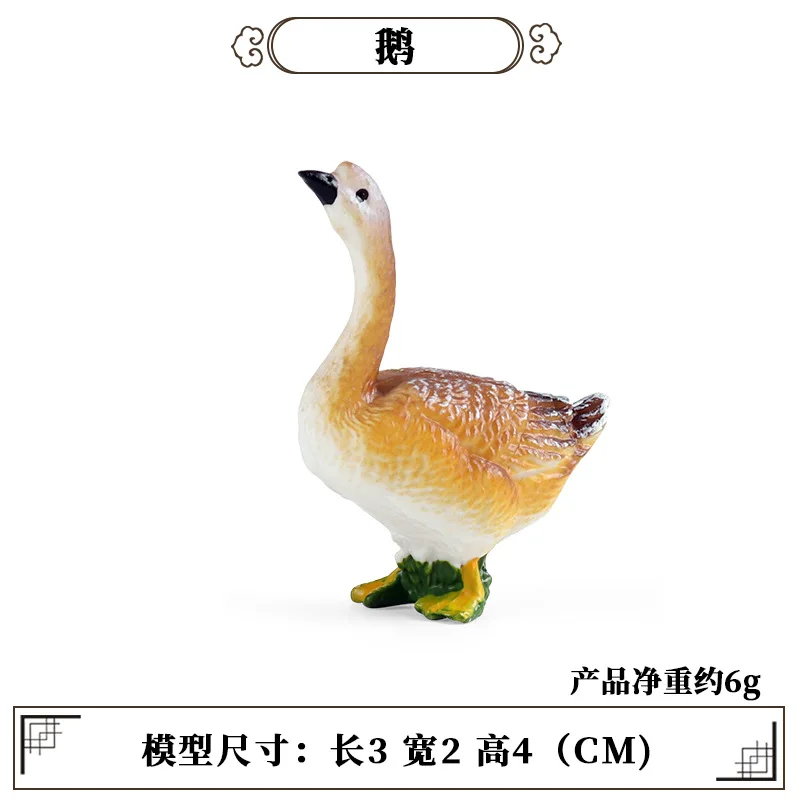 Kids First Education - Education Teaching Tool Poultry Animal Mini