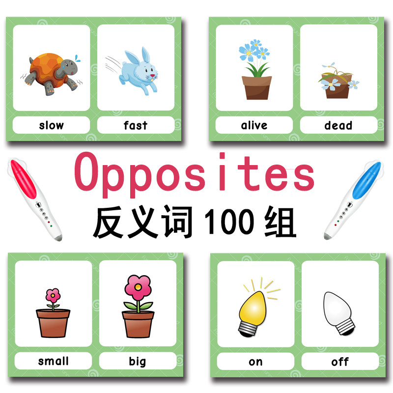 The 100 Groups Opposites Flash - Kids Educational Gadget 评论和价格