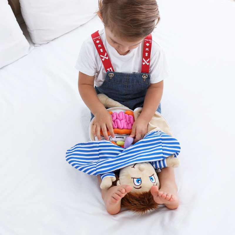 Human Viscera Cognitive Kid 3D - Human Body Puzzle 评论和价格