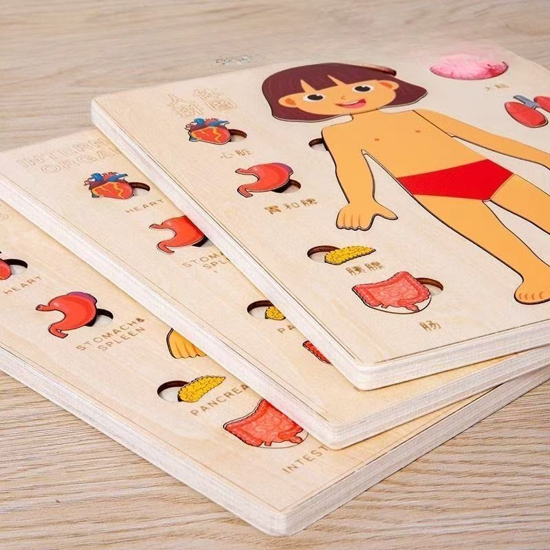 Montessori Puzzles Busy Board  - Human Body Puzzle 评论和价格