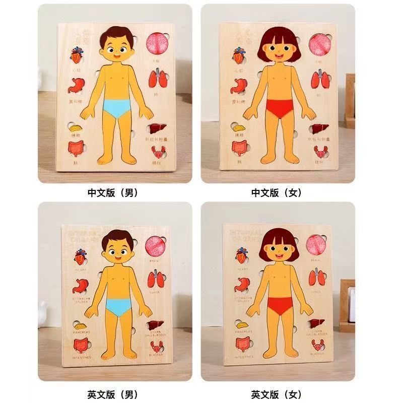 Montessori Puzzles Busy Board  - Human Body Puzzle 评论和价格