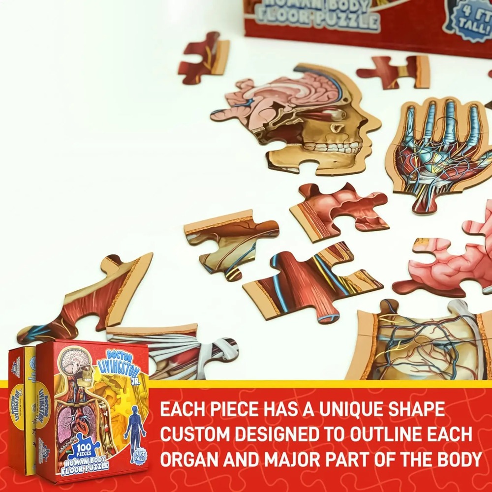 100 Pieces Human Anatomy Puzzl - Human Body Puzzle 评论和价格