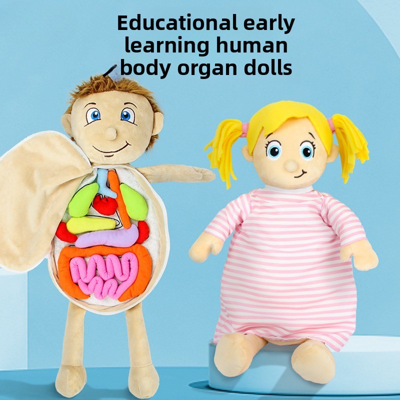 1Pc Human Organ Cognition Puzz - Human Body Puzzle 评论和价格