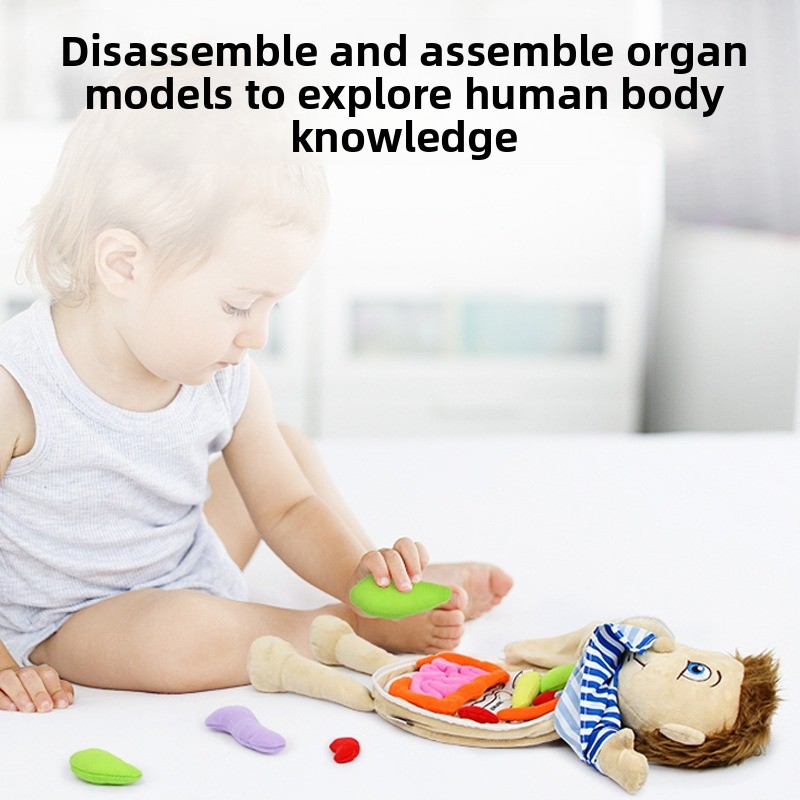 1Pc Human Organ Cognition Puzz - Human Body Puzzle 评论和价格