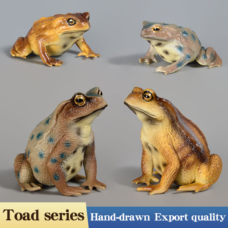 Amphibian Frog Figure Insect M - Kids First Education 评论和价格