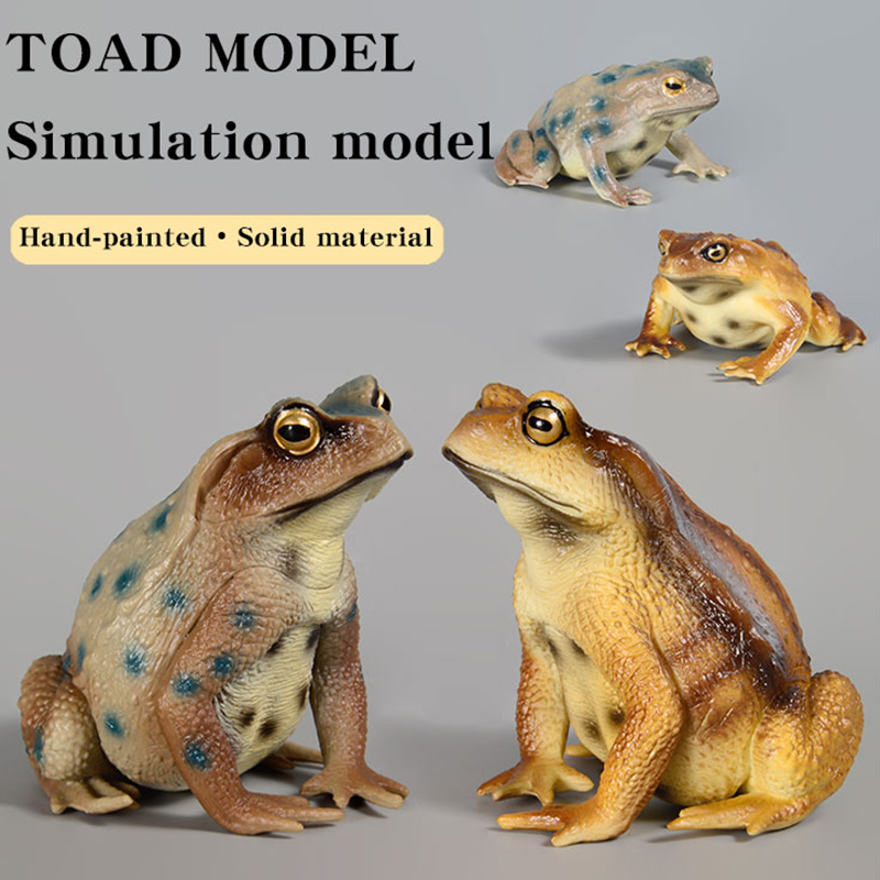 Amphibian Frog Figure Insect M - Kids First Education 评论和价格