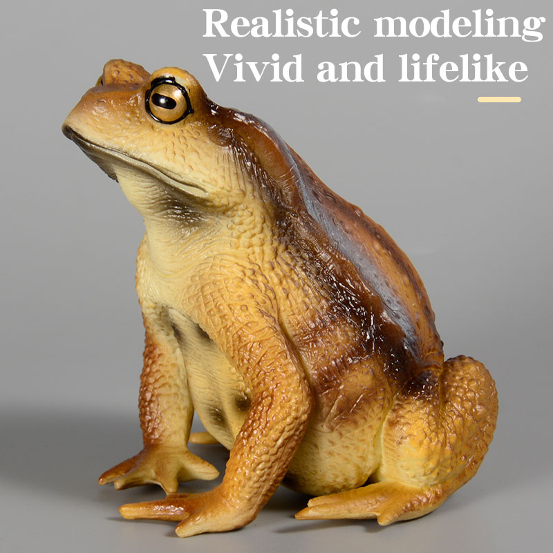 Amphibian Frog Figure Insect M - Kids First Education 评论和价格