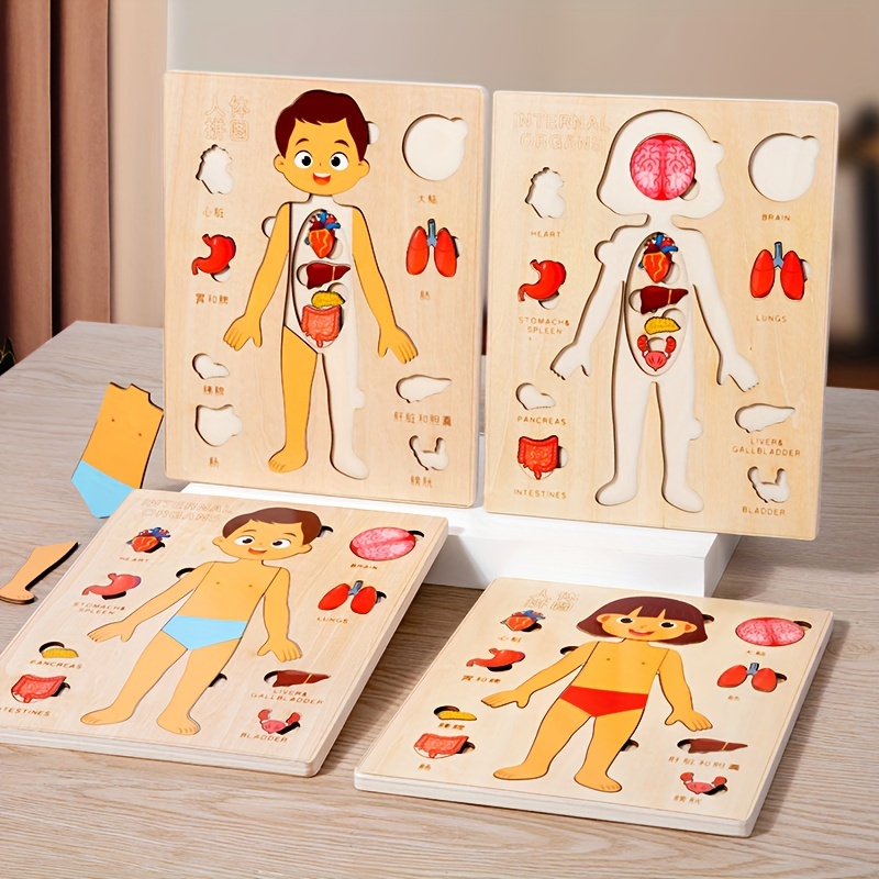 Human Body Puzzles for Kids Wo - Human Body Puzzle 评论和价格