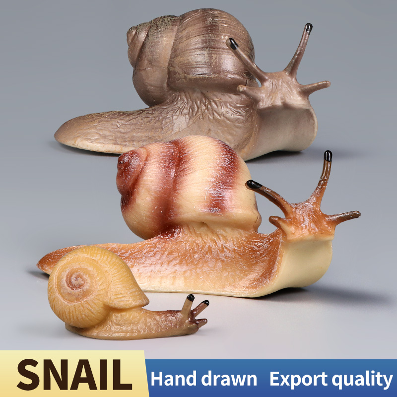 Educational Snail Action Figur - Kids First Education 评论和价格