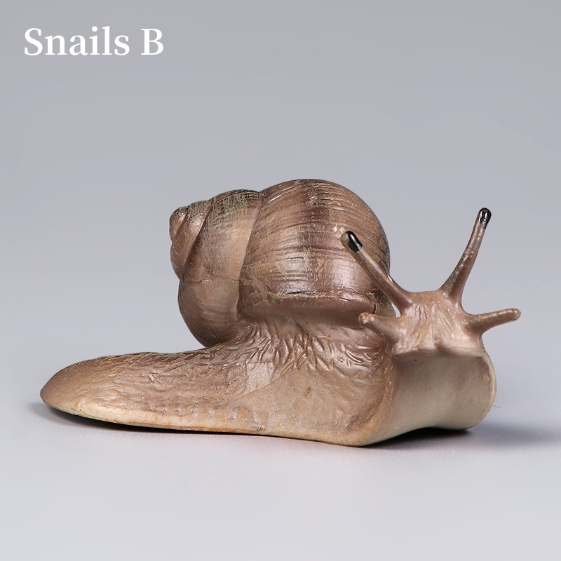 Educational Snail Action Figur - Kids First Education 评论和价格