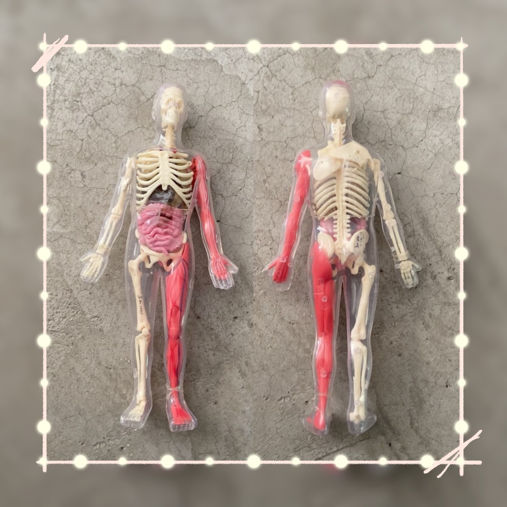 In Stock Default Defect Origin - Human Body Puzzle 评论和价格