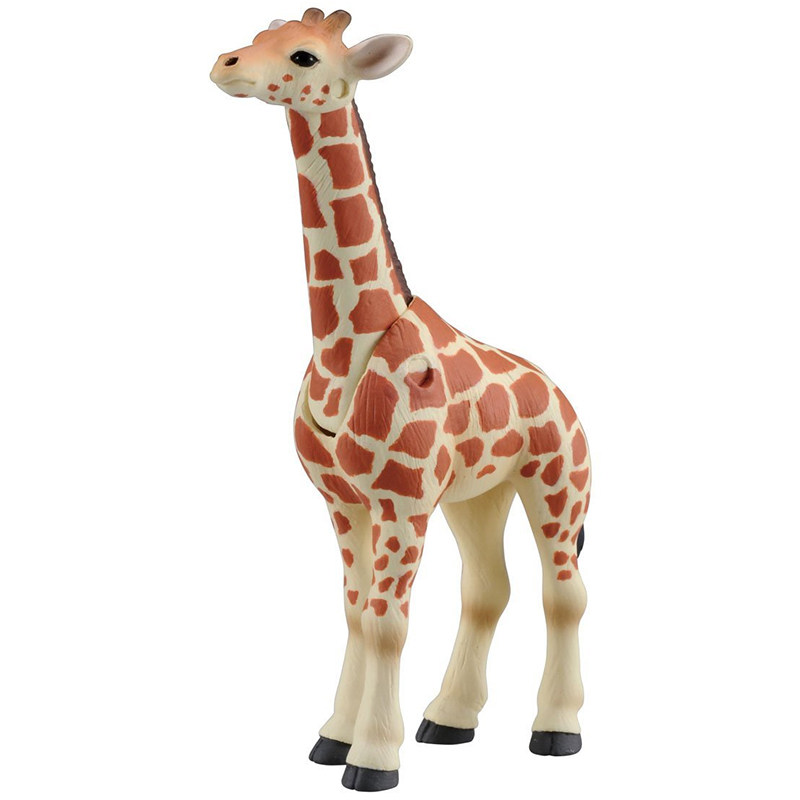 Original Takara Tomy Ania Gira - Kids First Education 评论和价格