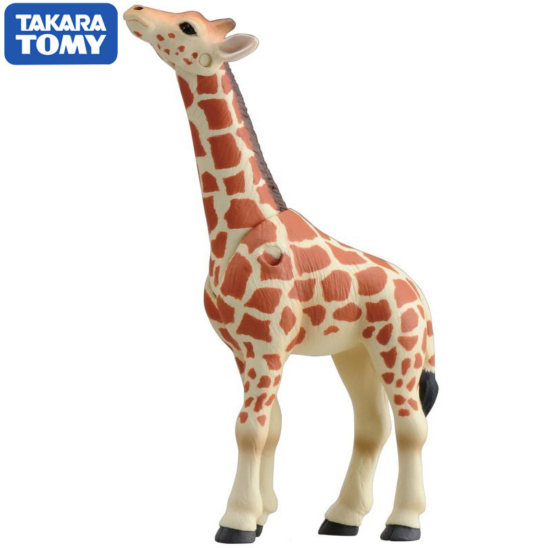 Original Takara Tomy Ania Gira - Kids First Education 评论和价格