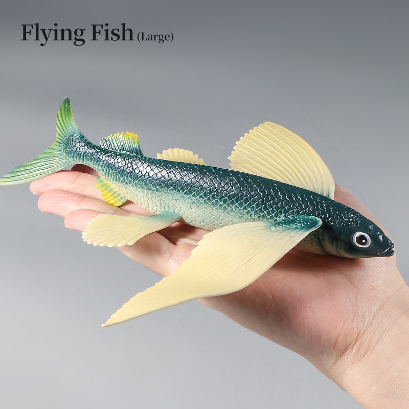 Ocean Marine Animal Underwater - Kids First Education 评论和价格