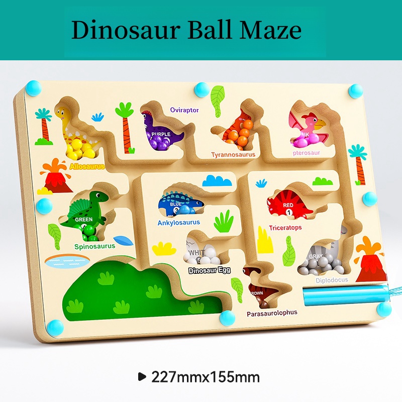 Magnetic Maze Toy With Magneti - Human Body Puzzle 评论和价格