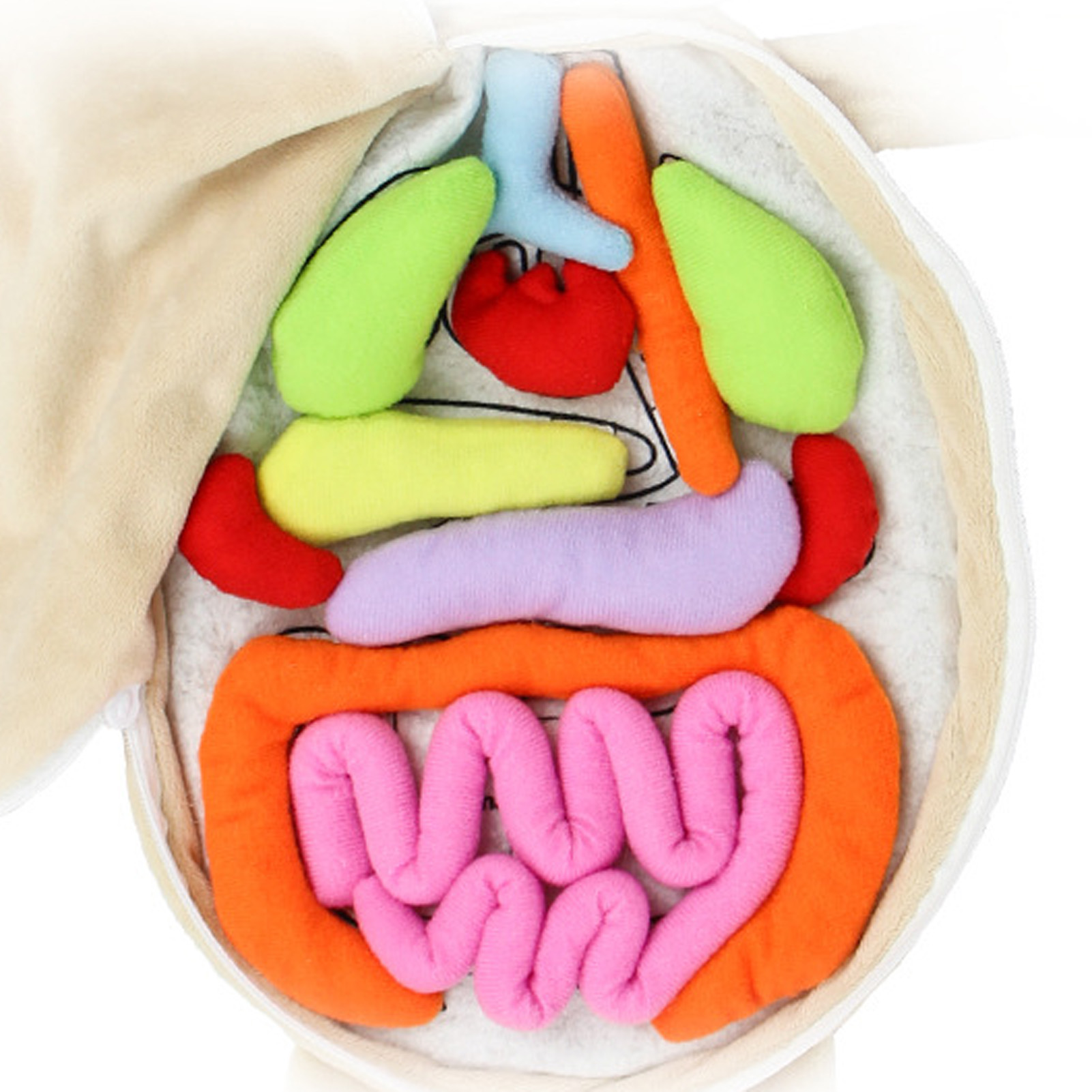 Kid Montessori Toys 3D Puzzle  - Human Body Puzzle 评论和价格
