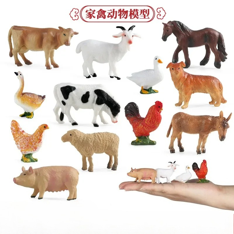 Education Teaching Tool Poultr - Kids First Education 评论和价格
