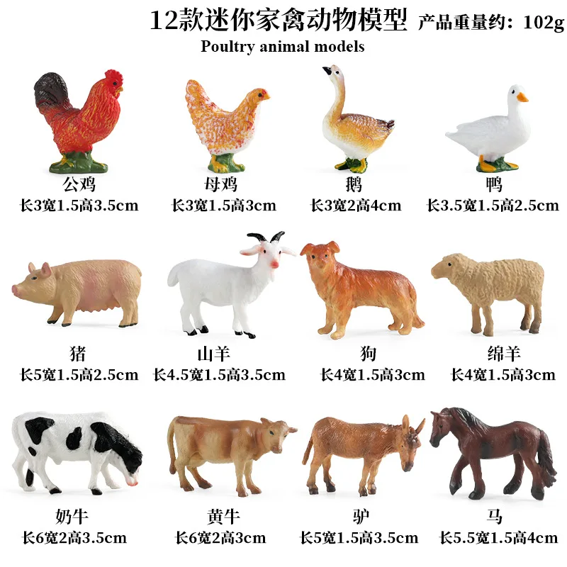 Education Teaching Tool Poultr - Kids First Education 评论和价格