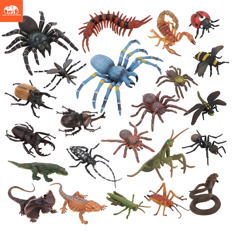 Educational Simulation Insect  - Kids First Education 评论和价格