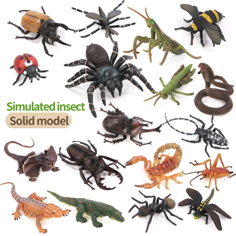 Educational Simulation Insect  - Kids First Education 评论和价格